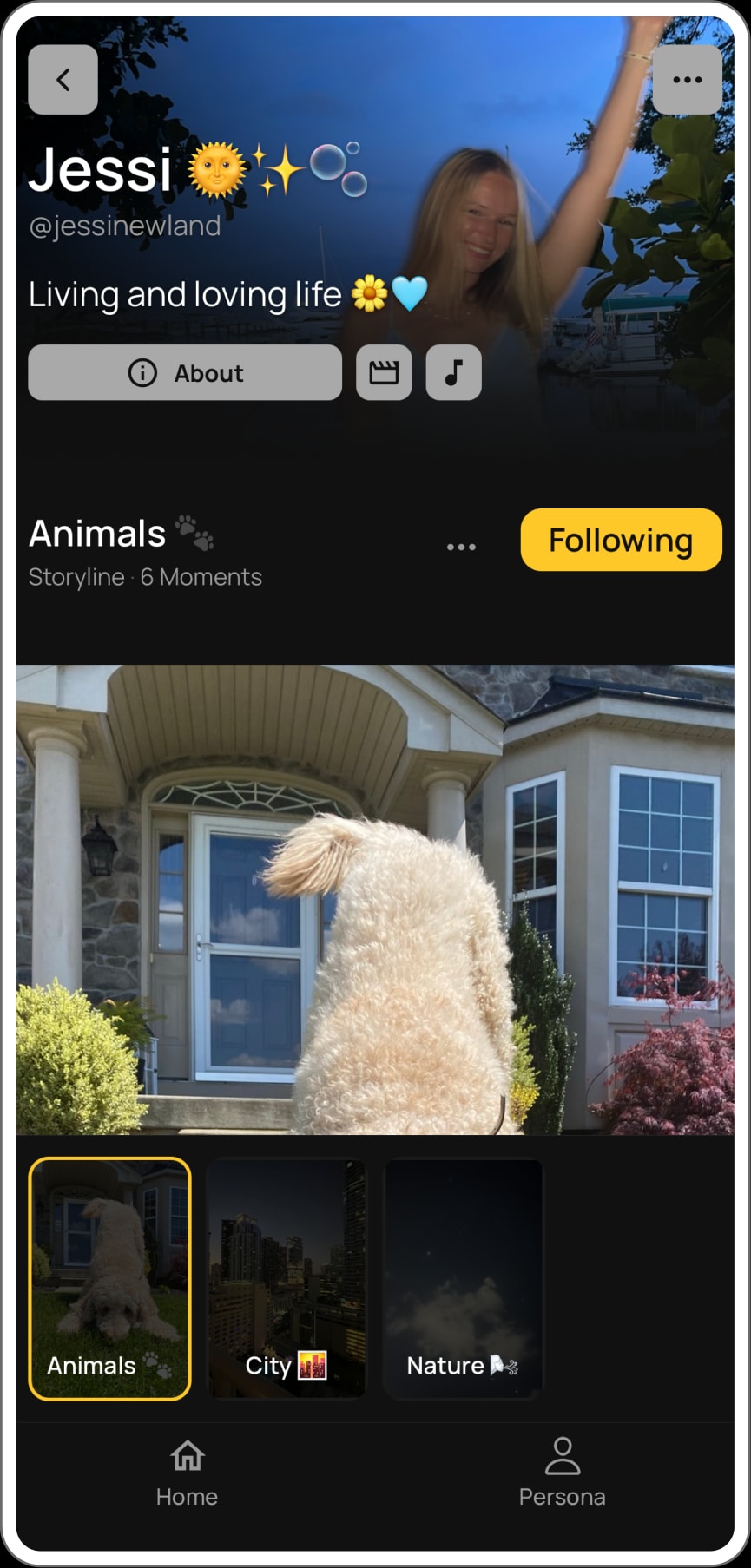Jessi’s Persona, open to her Animals Storyline: a fluffy white dog in front of a house, with her City and Nature Storylines below.